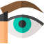diseño de ceja
